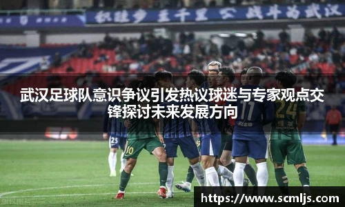武汉足球队意识争议引发热议球迷与专家观点交锋探讨未来发展方向