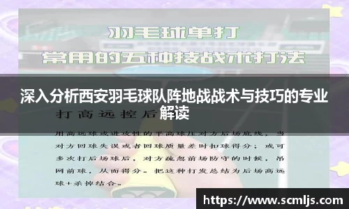 深入分析西安羽毛球队阵地战战术与技巧的专业解读