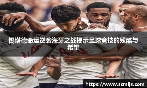 bwin必赢锡塔德命运逆袭海牙之战揭示足球竞技的残酷与希望